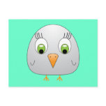 chickie B Postcard