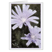 Chickory II Greeting Cards