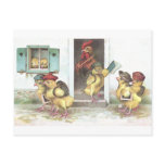 Chicks at School and Rooster Teacher Postcard