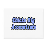 Chicks Dig Accountants