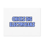 Chicks Dig Electricians