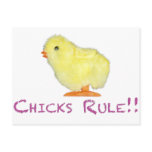 Chicks Rule Side Transparent Postcards