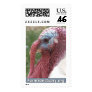 Chicky the Turkey Postage Stamp