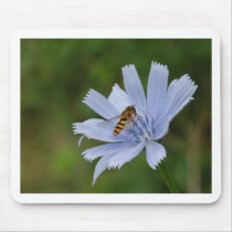 Chicory Mousepads