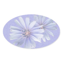 Chicory Wildflower Oval Stickers