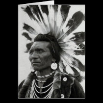 Chief Eagle, Salish Indian cards