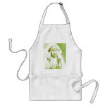 Chief Joseph aprons