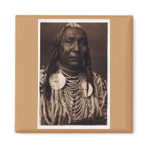Chief Red Wing - Tatankamani - Walking Buffalo Magnets