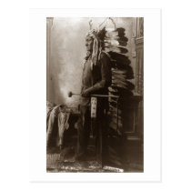 Chief Sitting Bull - Vintage postcards