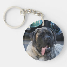 Chien Brindle de mastiff Porteclés