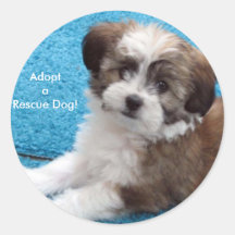 Chien d'AdoptaRescue ! Autocollants