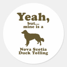 Chien d'arrêt de tintement de canard de la Nouvell Autocollants