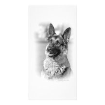Chien de berger allemand photocartes