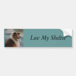 Chien de berger de Shetland Adhésifs Pour Voiture