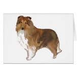Chien de berger de Shetland Carte De Vœux