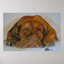 Chien de BullMastif Poster