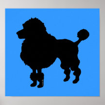 Chien de caniche (noir) affiches