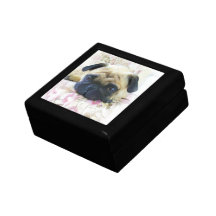 Chien de carlin boîtes à souvenirs