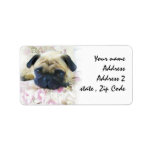Chien de carlin étiquette d’adresse