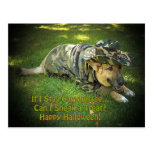 Chien de Halloween dans le camouflage Carte Postale
