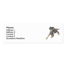 Chien de léopard de Catahoula Cartes De Visite Professionnelles
