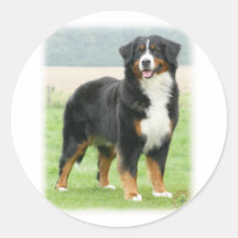 Chien de montagne de Bernese 9Y066D-133 Autocollant