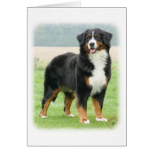 Chien de montagne de Bernese 9Y066D-133 Carte De Vœux