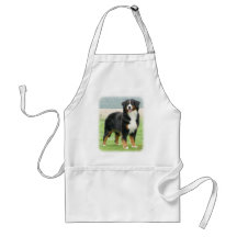 Chien de montagne de Bernese 9Y066D-133 Tabliers