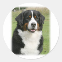 Chien de montagne de Bernese 9Y236D-106 Autocollants