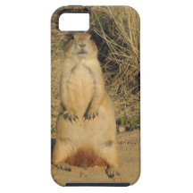 Chien de prairie coques iPhone 5 Case-Mate