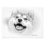 Chien de sourire de Shiba Inu Photos D’art