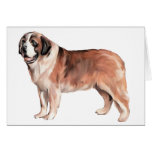 Chien de St Bernard Carte De Vœux