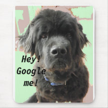 Chien de Terre-Neuve, Google je ! Tapis De Souris