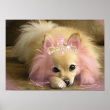 chien féerique de princesse avec la couronne de di posters