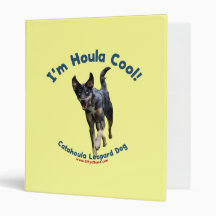 Chien frais de Houla Catahoula