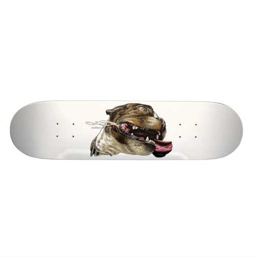 Chien heureux - planche à roulettes