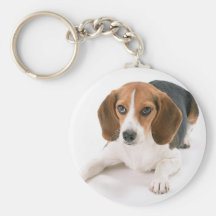 Chien Keychain de beagle Porte-clés