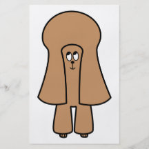 Chien mignon. Caniche brun chocolat de miniature/j Prospectus