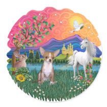 Chihuahua 1