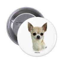 Chihuahua  9P93D-123_2 Pinback Button