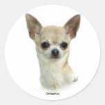Chihuahua  9P93D-123_2 Stickers