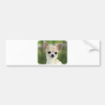 Chihuahua  9P93D-123 Bumper Sticker