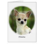 Chihuahua 9P93D-123 Card