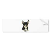 Chihuahua  9W092D-057 Bumper Sticker