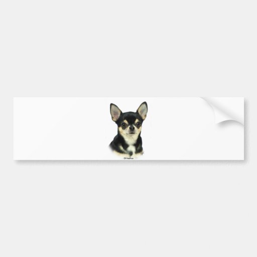 Chihuahua  9W092D-057 Bumper Sticker