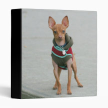 Chihuahua Binder
