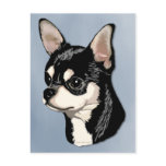 Chihuahua Black & Tan Postcard