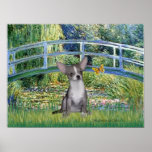 Chihuahua (blue-cream) - Lily Pond Bridge Poster