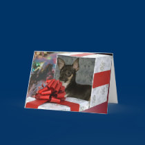 Chihuahua Christmas Greeting Card cards