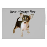 Chihuahua Cutie Greeting Card